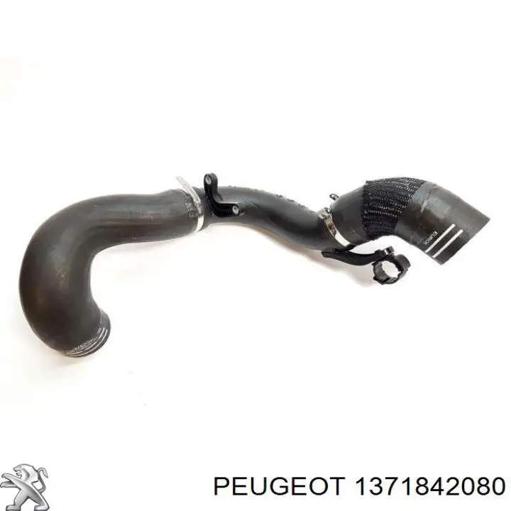 Przewód (króciec) intercoolera 1371842080 Fiat/Alfa/Lancia