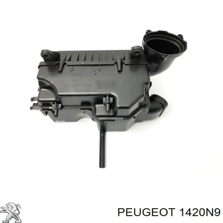 Do koszyka 1420N9 Peugeot/Citroen Obudowa filtra powietrza