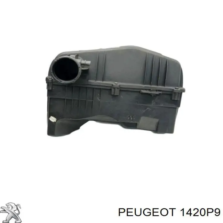 Do koszyka Obudowa filtra powietrza Peugeot Partner I 5F