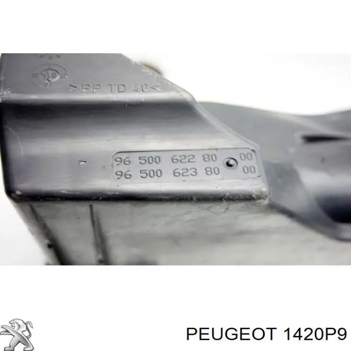  Obudowa filtra powietrza Peugeot Partner 1