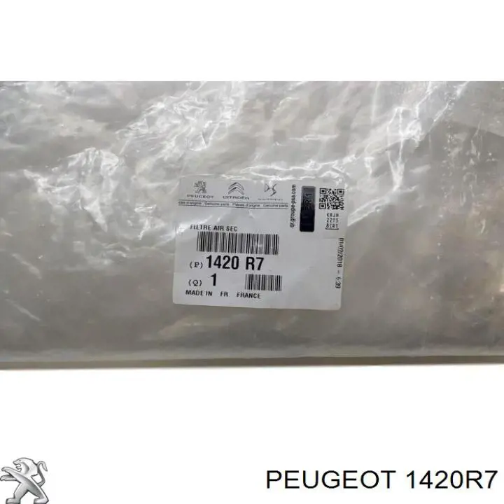 Obudowa filtra powietrza REC130280 Rider