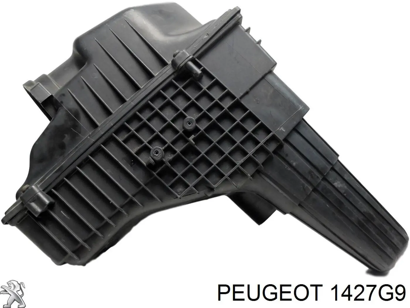 Obudowa filtra powietrza do Peugeot 607  9D, 9U