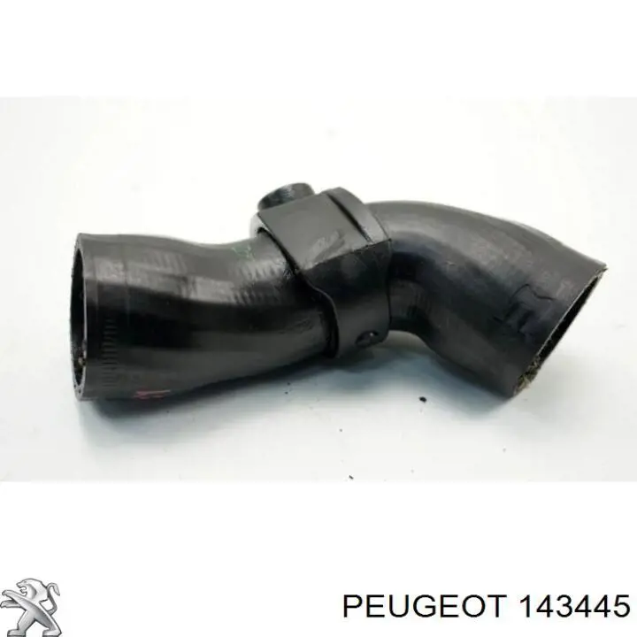 Do koszyka 143445 Peugeot/Citroen Króciec powietrza