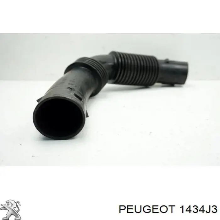 1434J3 Peugeot/Citroen Króciec powietrza, wlot filtra powietrznego