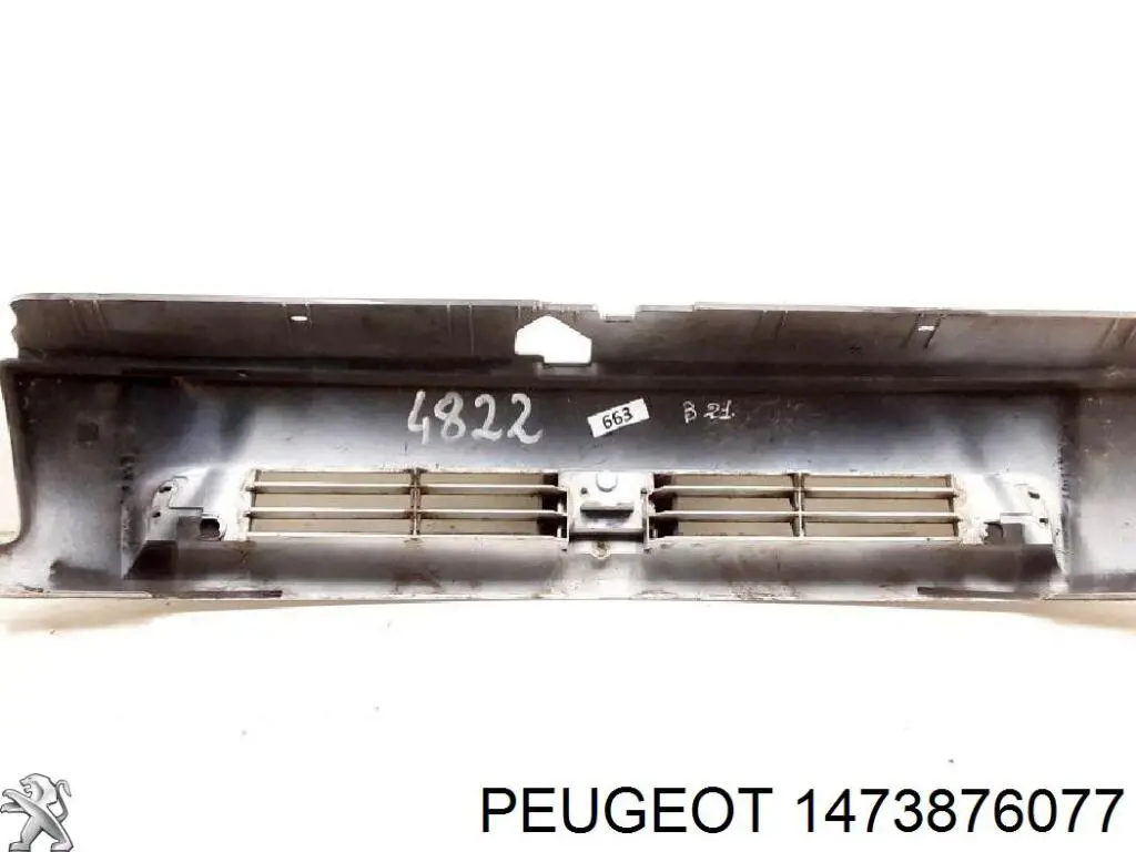 1473876077 Peugeot/Citroen 