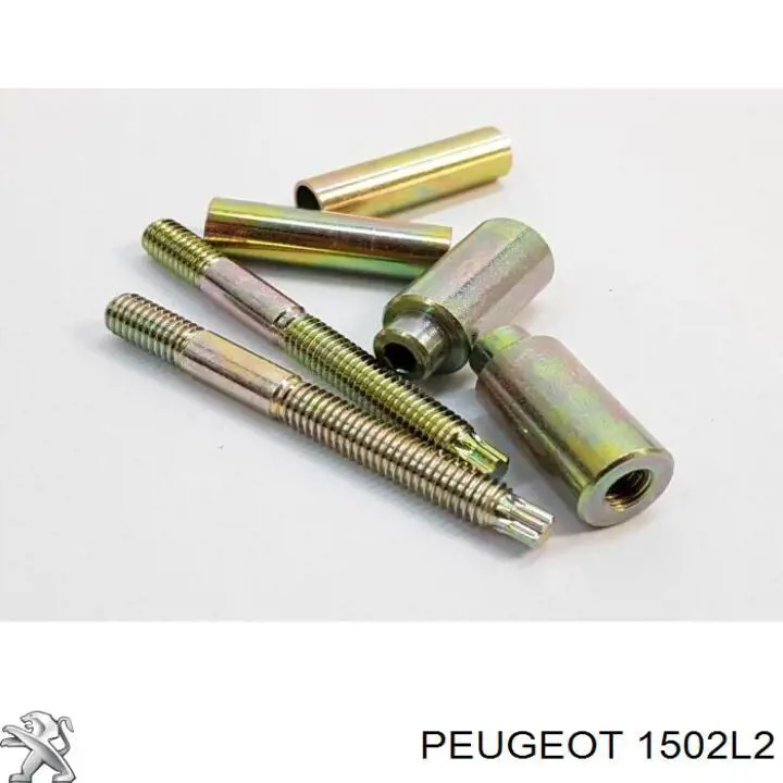  POCHŁANIACZ PAR PALIWA Citroen C4 2