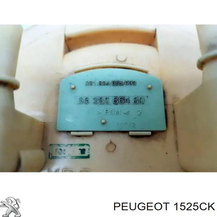  Moduł pompy paliwowej z czujnikiem poziomu paliwa Citroen C3 1