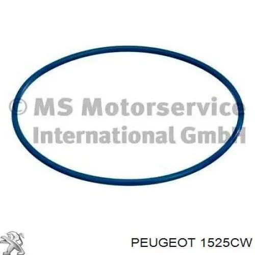 Do koszyka 1525CW Peugeot/Citroen Moduł pompy paliwowej z czujnikiem poziomu paliwa