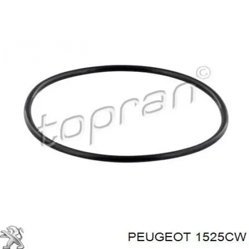 1525CW Peugeot/Citroen Moduł pompy paliwowej z czujnikiem poziomu paliwa