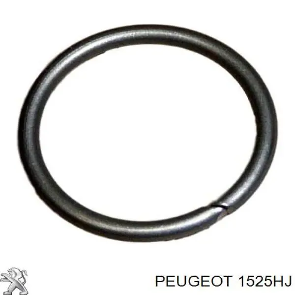 1525HJ Peugeot/Citroen Moduł pompy paliwowej z czujnikiem poziomu paliwa