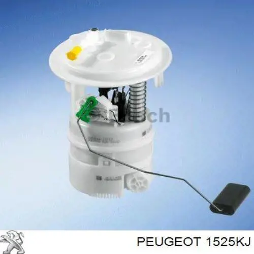 Do koszyka 1525KJ Peugeot/Citroen Moduł pompy paliwowej z czujnikiem poziomu paliwa