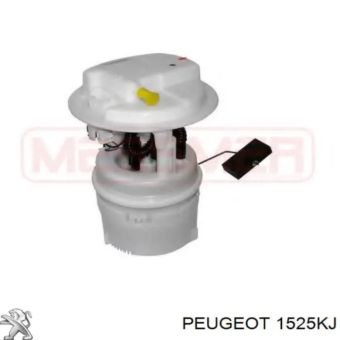 1525KJ Peugeot/Citroen Moduł pompy paliwowej z czujnikiem poziomu paliwa