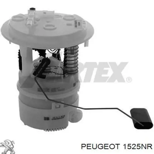 Do koszyka 1525NR Peugeot/Citroen Moduł pompy paliwowej z czujnikiem poziomu paliwa