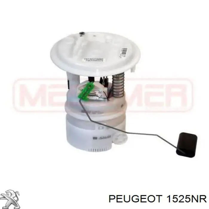 Do koszyka 1525NR Peugeot/Citroen Moduł pompy paliwowej z czujnikiem poziomu paliwa