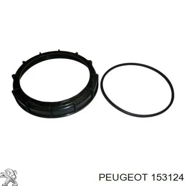 Do koszyka 153124 Peugeot/Citroen Uszczelka czujnika poziomu paliwa /pompy paliwa (zbiornik paliwa)