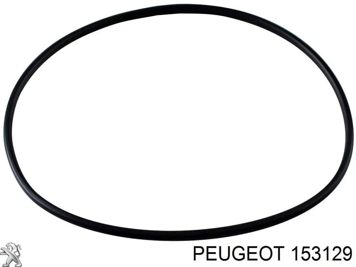 Uszczelniacz pompy paliwa Peugeot/Citroen 153129 cena, od 4,56 USD