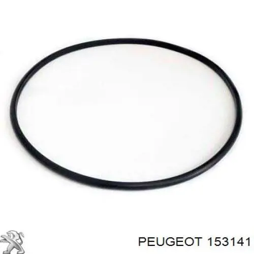 Do koszyka 3638294 Peugeot/Citroen Uszczelniacz pompy paliwa