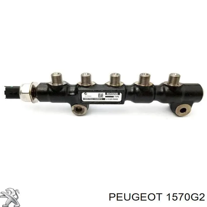 1570G2 Peugeot/Citroen Rozdzielacz paliwa