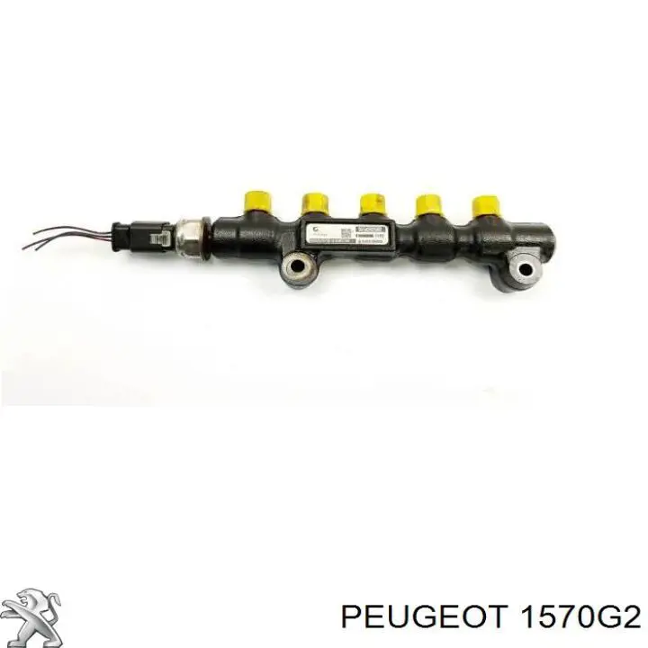 Rozdzielacz paliwa Peugeot/Citroen 1570G2 cena, od 59,29 USD