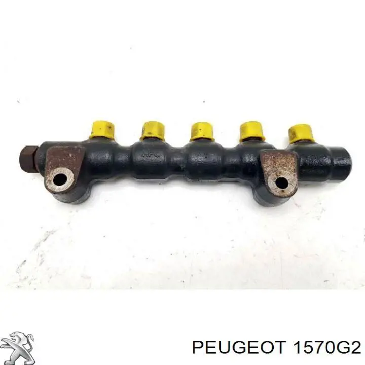 Do koszyka 1570G2 Peugeot/Citroen Rozdzielacz paliwa