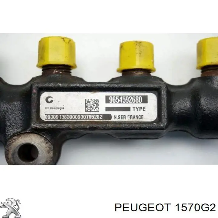 Do koszyka 1570G2 Peugeot/Citroen Rozdzielacz paliwa