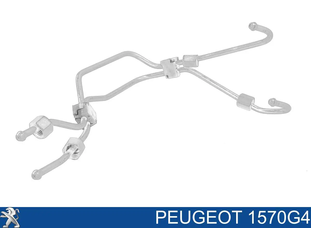 1570G4 Peugeot/Citroen Rurka paliwa, zestaw