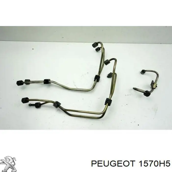 1570H5 Peugeot/Citroen Rurka paliwa, od pompy wtryskowej do listwy paliwowej
