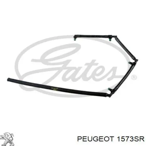 Rurka paliwa, zwrotna od wtryskiwaczy Peugeot/Citroen 1573SR cena, od 17,23 USD