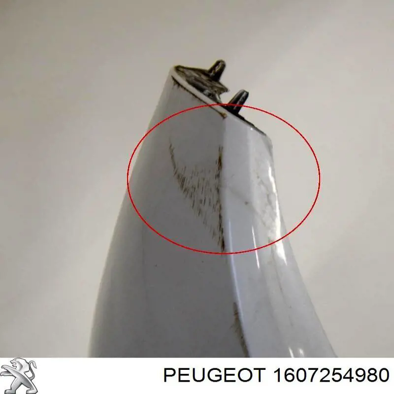 Do koszyka 1607254980 Peugeot/Citroen Zderzak tylny