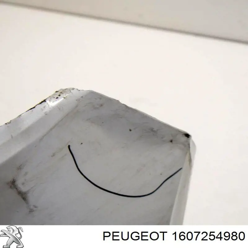 Zderzak tylny Peugeot/Citroen 1607254980 cena, od 35,61 USD
