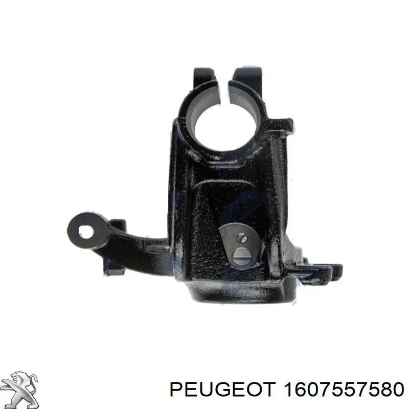 Czop (zwrotnica) przedni prawy Peugeot/Citroen 1607557580 cena, od 57,89 USD