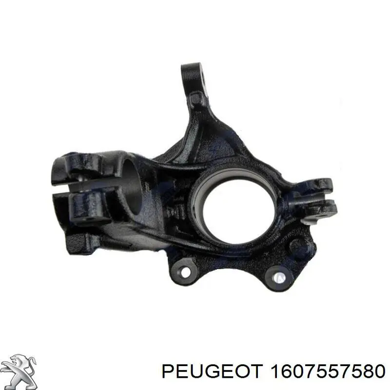 Do koszyka 1607557580 Peugeot/Citroen Czop (zwrotnica) przedni prawy
