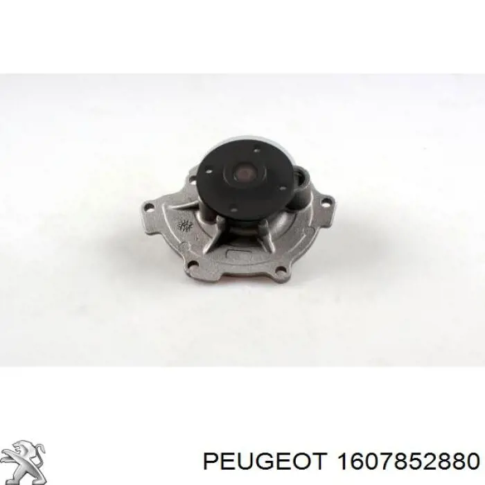 Do koszyka 1607852880 Peugeot/Citroen Pompa chłodząca wodna