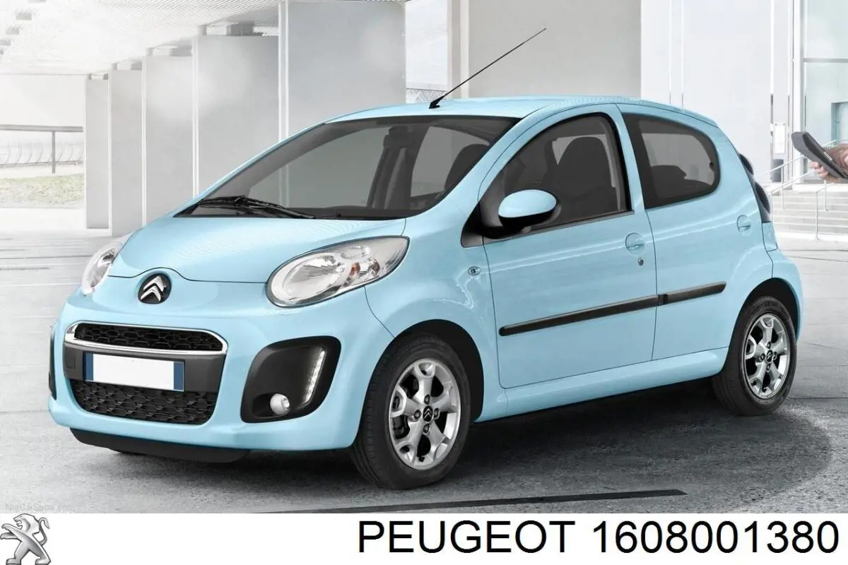 Do koszyka 1608001380 Peugeot/Citroen Nadkole błotnika przedniego prawe