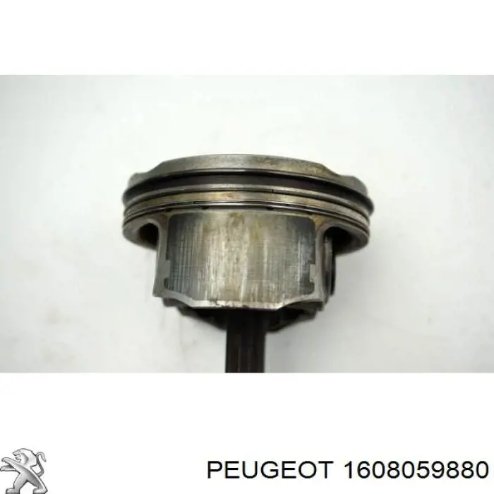 1608059880 Peugeot/Citroen 