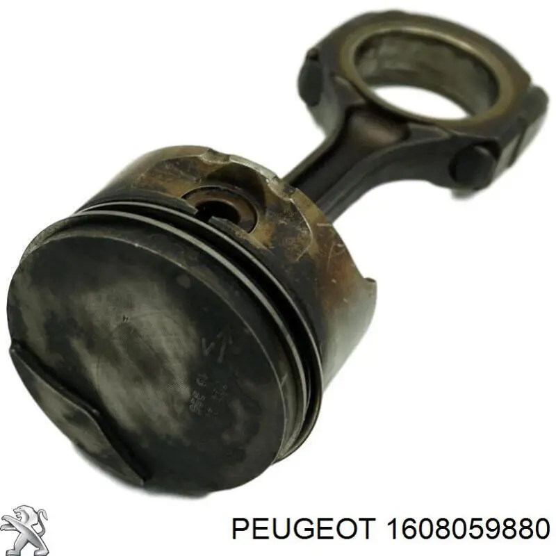1608059880 Peugeot/Citroen 