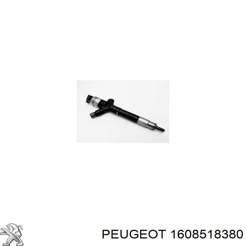 Wtryskiwacz paliwa Peugeot/Citroen 1608518380