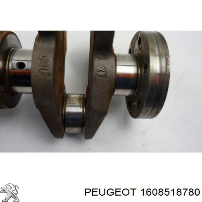 Do koszyka 1608518780 Peugeot/Citroen Wał korbowy silnika