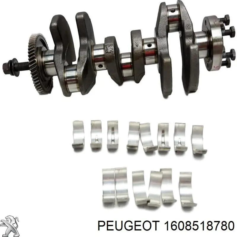 Wał korbowy silnika Peugeot/Citroen 1608518780
