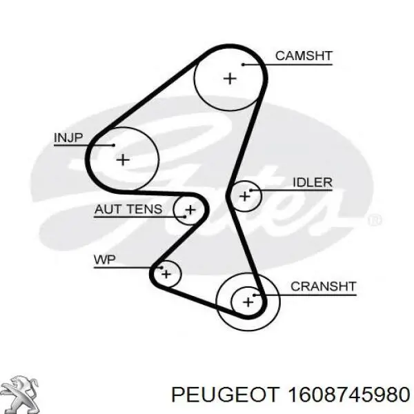 1608745980 Peugeot/Citroen pasek rozrządu