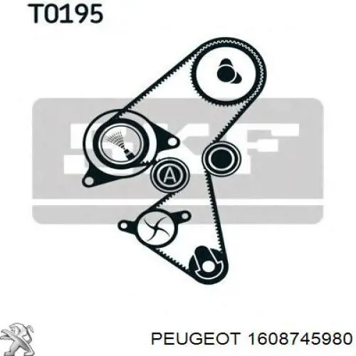 Pasek rozrządu Peugeot/Citroen 1608745980 cena, od 50,86 USD