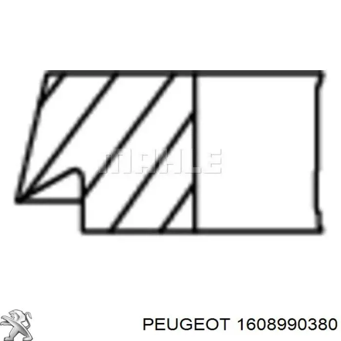1608990380 Peugeot/Citroen 