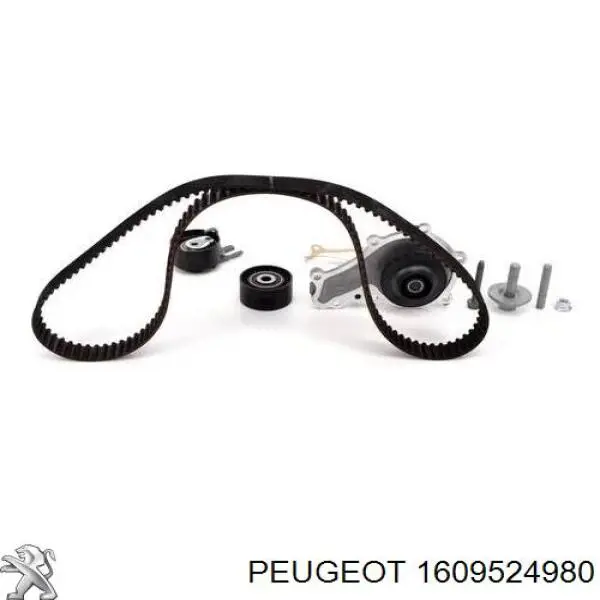 Do koszyka 1609524980 Peugeot/Citroen Pasek rozrządu, zestaw