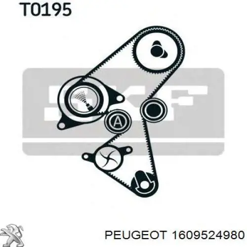 Pasek rozrządu, zestaw 1609524980 Peugeot/Citroen