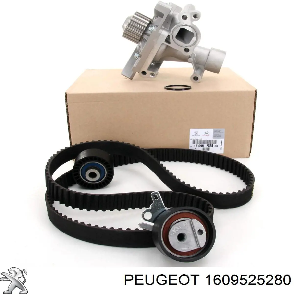 Pasek rozrządu, zestaw Peugeot/Citroen 1609525280 cena, od 115,76 USD