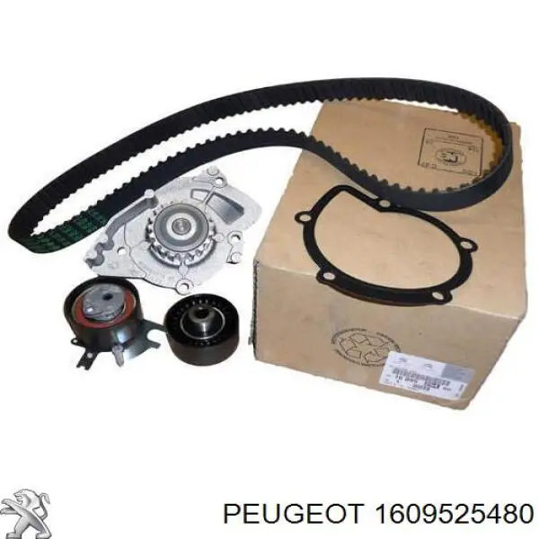 1609525480 Peugeot/Citroen Pasek rozrządu, zestaw