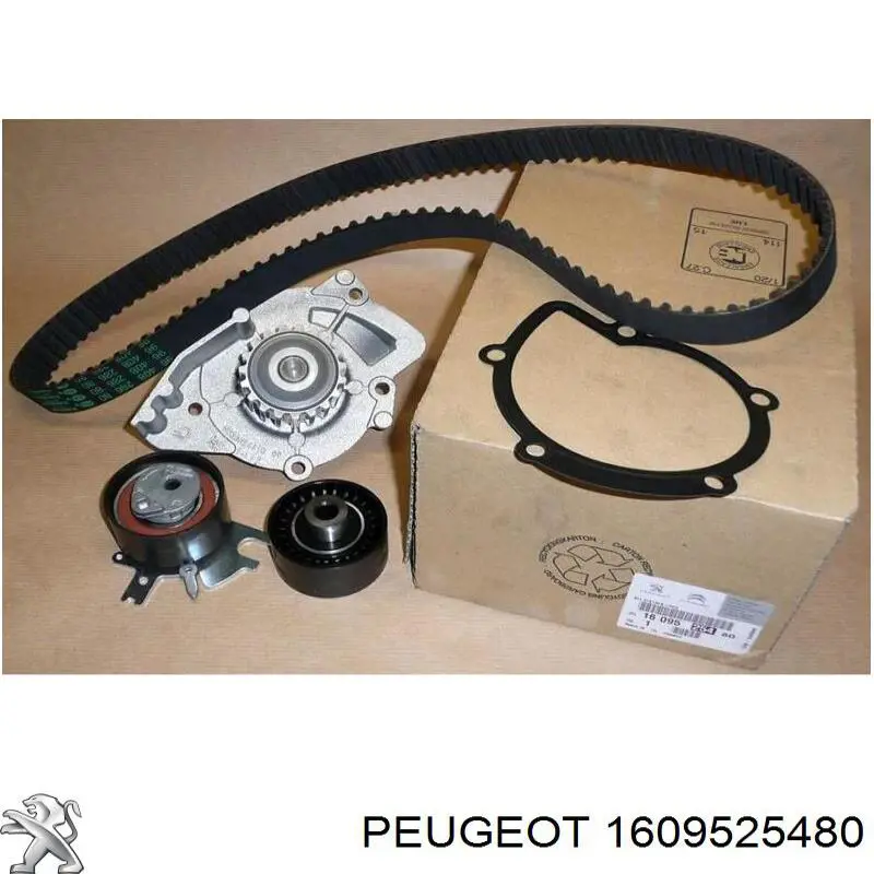 Pasek rozrządu, zestaw Peugeot/Citroen 1609525480 cena, od 110,85 USD