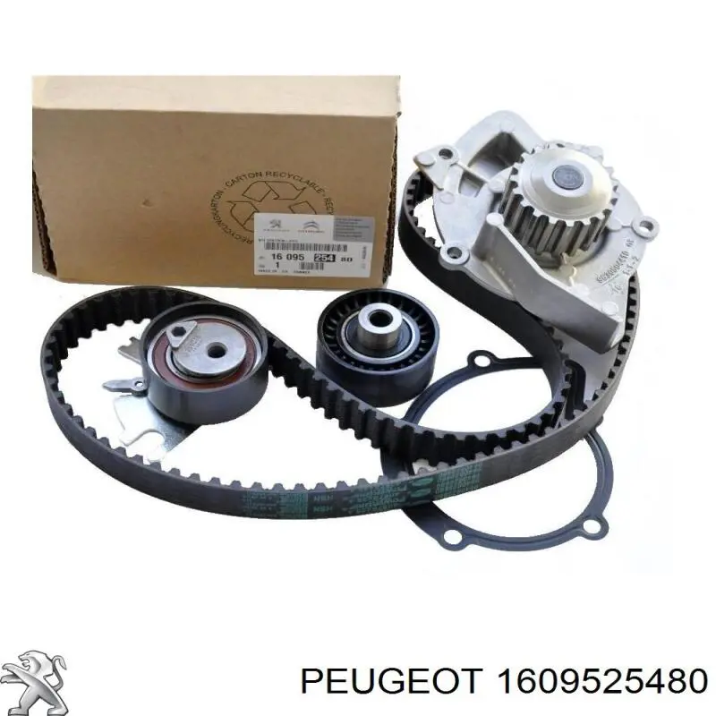 Do koszyka 1609525480 Peugeot/Citroen Pasek rozrządu, zestaw