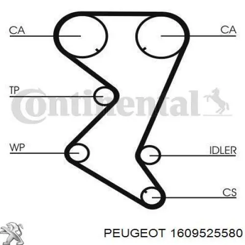 Pasek rozrządu, zestaw Peugeot/Citroen 1609525580 cena, od 175,73 USD