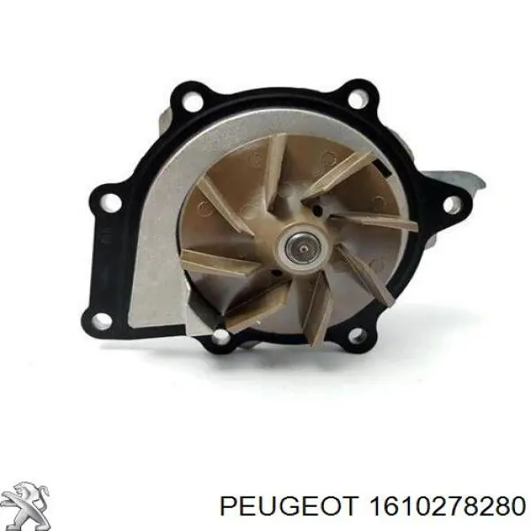 Pasek rozrządu, zestaw Peugeot/Citroen 1610278280